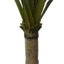 Ver imagem 3 de Planta Palmeira Permanente Yuca AKZ HOME