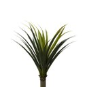 Ver imagem 5 de Planta Palmeira Permanente Yuca AKZ HOME