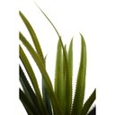 Ver imagem 4 de Planta Palmeira Permanente Yuca AKZ HOME