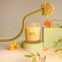 Ver imagem 2 de Vela Perfumada Vanilla Bloom Patbo 210g Classic Lenvie
