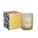 Ver imagem 1 de Vela Perfumada Vanilla Bloom Patbo 210g Classic Lenvie
