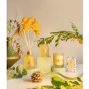 Ver imagem 3 de Vela Perfumada Vanilla Bloom Patbo 210g Classic Lenvie