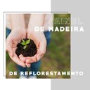 Ver imagem 2 de Guarda Roupa Casal 3 Portas 4 Gav Espelho Branco Carraro