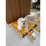 Cama Caminha Colchonete Pet Cachorro Gato Animais estimacao Tamanho P - 4