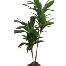 Planta Árvore Dracena Artificial Flores 1,25m P/vaso - 2