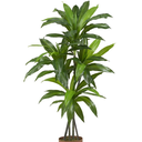 Ver imagem 1 de Planta Árvore Dracena Artificial Flores 1,25m P/vaso