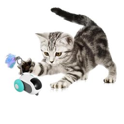 Brinquedo de Gato Pet Felino Carrinho Controle Remoto Usb Bateria Recarregavel Interativo Diversao e - 2