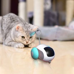 Brinquedo de Gato Pet Felino Carrinho Controle Remoto Usb Bateria Recarregavel Interativo Diversao e - 4