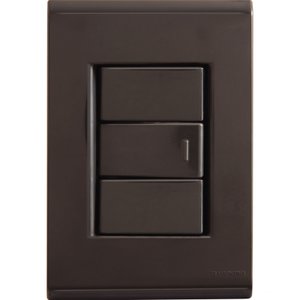 Conjunto 4x2 com 1 Interruptor Simples 10 A 250 V Tramontina Liz Grafite Tramontina