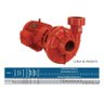 Bomba Schneider para Incêndio Bpi-21 R 2 1/2" 5cv Trifásico 4 Voltagens 141 Vermelho 4v (t) - 2