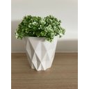 Ver imagem 2 de Vaso Cachepot Cerâmica Bca Det Losango 9x9x9cm e Plant Decor