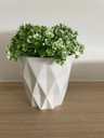 Ver imagem 2 de Vaso Cachepot Cerâmica Bca Det Losango 9x9x9cm e Plant Decor