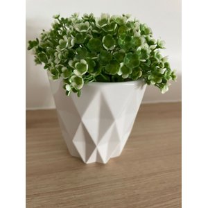 Vaso Cachepot Cerâmica Bca Det Losango 9x9x9cm e Plant Decor