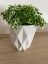 Ver imagem 1 de Vaso Cachepot Cerâmica Bca Det Losango 9x9x9cm e Plant Decor