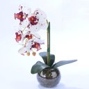 Ver imagem 2 de Arranjo de Orquídea Artificial Pequenina Tigre