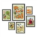 Ver imagem 1 de Kit 6 Quadros Passarinhos Flores e Frutos:moldura Preta