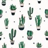 Papel de Parede Decorativo Temático Cactus Decorativos 3,0m - 1