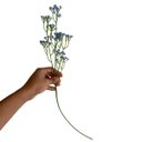 Ver imagem 5 de Kit Flores Artificiais Azul com 18 Hastes para Arranjos Buquês e Festas