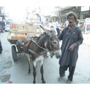 Ver imagem 7 de Máquina Galoneira com cobertura, direct drive-Siruba F006KD- 12 MESES DE GARANTIA- 550W,4800RPM,LUBR