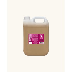 Shampoo Erva Santa Maria 5 Litros Pet Life para Cães e Gatos