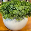 Ver imagem 3 de Arranjo Centro de Mesa Florzinha Verde Artificial Vaso Branco Completo Decore Fácil Shop