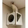 Nicho para Gatos Branco Triângulo com Colchão Ferpa Design - 9
