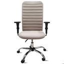 Ver imagem 3 de Cadeira Escritório Presidente Bege Executiva Ergonômica Apoio Lombar Nr17 Office Giratória Rodízio