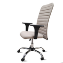 Ver imagem 1 de Cadeira Escritório Presidente Bege Executiva Ergonômica Apoio Lombar Nr17 Office Giratória Rodízio