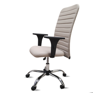 Cadeira Escritório Presidente Bege Executiva Ergonômica Apoio Lombar Nr17 Office Giratória Rodízio