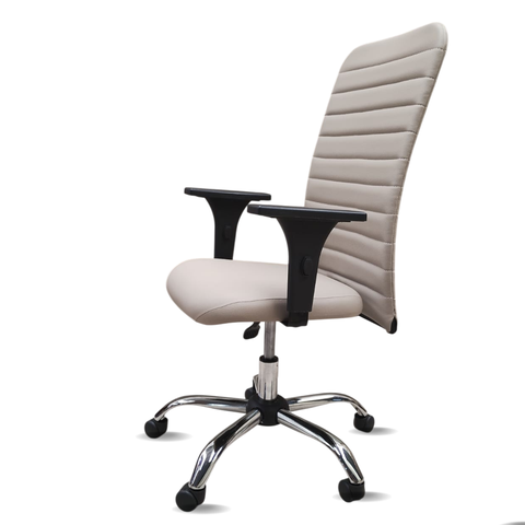 Cadeira Escritório Presidente Bege Executiva Ergonômica Apoio Lombar Nr17 Office Giratória Rodízio