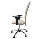 Ver imagem 4 de Cadeira Escritório Presidente Bege Executiva Ergonômica Apoio Lombar Nr17 Office Giratória Rodízio