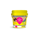 Ver imagem 1 de Primer Flex - Base/sobreposicao (lvt) Gl 3,6 Lts - Quartzolit