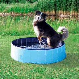 Piscina para Cachorro Pets Dobrável Lisa Azul Vg+ - 2