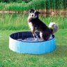 Piscina para Cachorro Pets Dobrável Lisa Azul Vg+ - 2