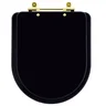 Assento Sanitário Link Preto Fosco para vaso Deca Com Ferragem Dourada - 1