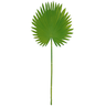 Folha Palmeira Latania 43cm Folhagem Planta Artificial - 1