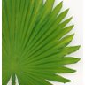 Folha Palmeira Latania 43cm Folhagem Planta Artificial - 2