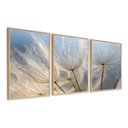 Ver imagem 1 de Kit 3 Quadros Decorativo Flor Dente de Leão C/ Moldura Madeira Sala