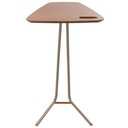Ver imagem 6 de Mesa de Apoio Flat Castanho em Metal Champanhe