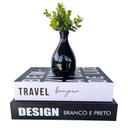 Ver imagem 1 de Decoração Dupla Livro Caixa + Vaso Garrafa Preto Cerâmico