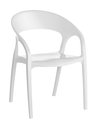 Ver imagem 4 de Kit 4 Cadeiras de Jantar Glass Plus Kappesberg UZ4004 Branca