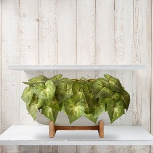 7 Buquês Folhagens Singônio Artificiais Verdes Plantas Realistas que Parecem Naturais para Decoração