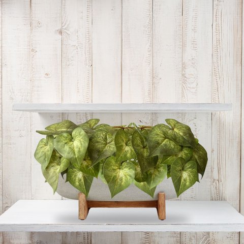 7 Buquês Folhagens Singônio Artificiais Verdes Plantas Realistas que Parecem Naturais para Decoração