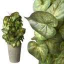 Ver imagem 4 de 7 Buquês Folhagens Singônio Artificiais Verdes Plantas Realistas que Parecem Naturais para Decoração