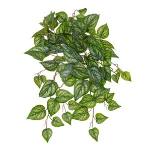Folhagem Argreia Pendurar Real Toque com Proteção Uv Verde 50cm