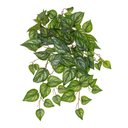 Ver imagem 1 de Folhagem Argreia Pendurar Real Toque com Proteção Uv Verde 50cm