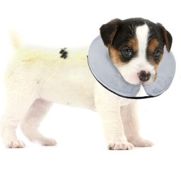 Bencmate Coleira Inflável Protetora para Pets Cinza (p) - 1