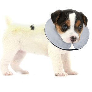 Bencmate Coleira Inflável Protetora para Pets Cinza (p)