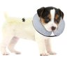 Bencmate Coleira Inflável Protetora para Pets Cinza (p) - 1