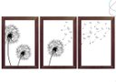 Ver imagem 1 de 3 Quadros Decoração Dente de Leão Flor Minimalista C Moldura:tabaco